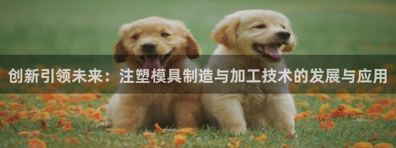 星欧娱乐官网登录入口