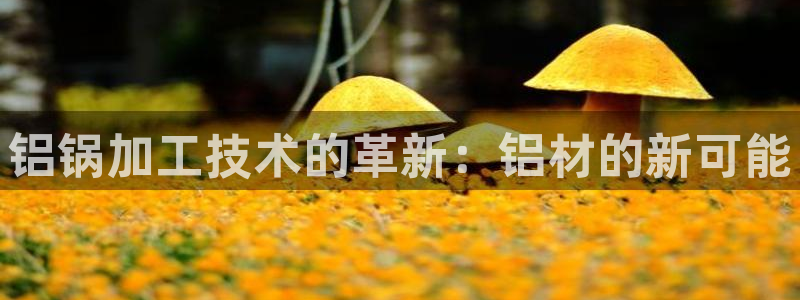 乌鲁木齐欧乐星城娱乐