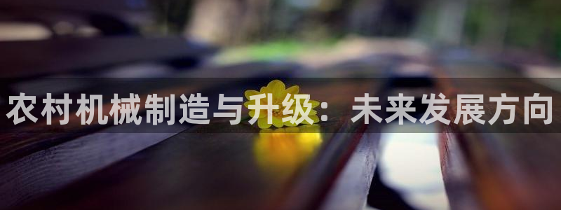 星欧娱乐主管