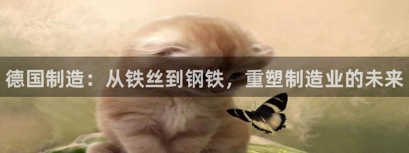 星欧娱乐注册登录