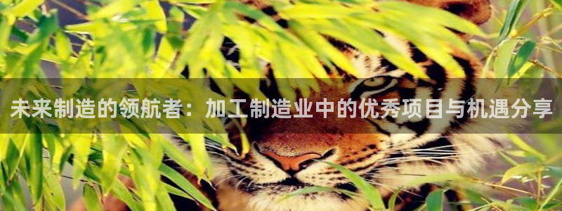星欧娱乐的安装方法及注意事项