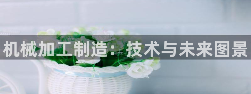 娱乐星天地马思纯欧豪