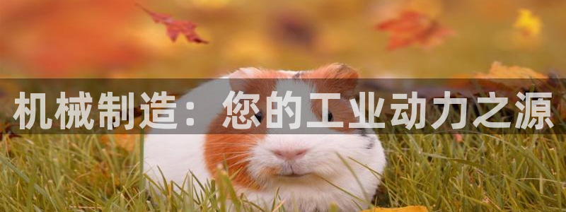 星欧娱乐法最新进展