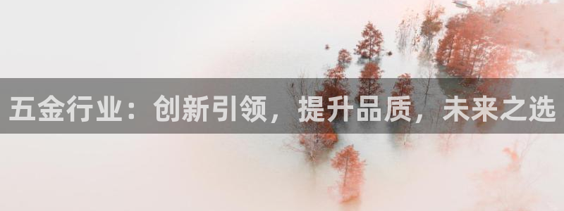 星辉娱乐进入欧联杯了吗