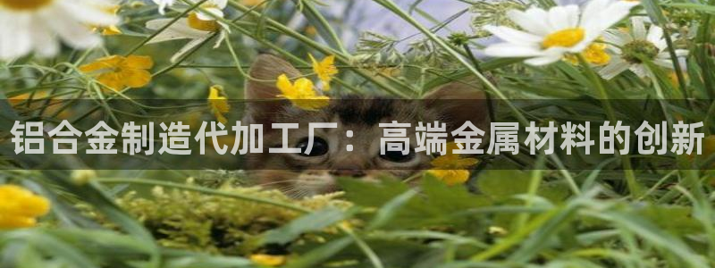 星欧娱乐经纪公司简介