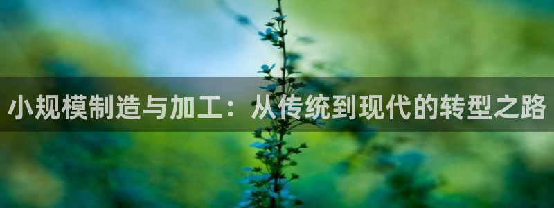 星辉娱乐欧联杯转播