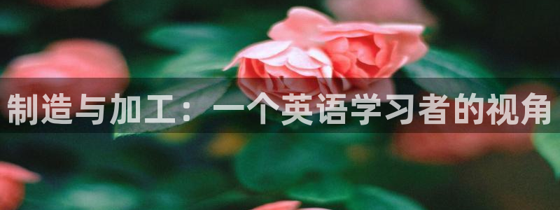 欧星娱乐的盘口