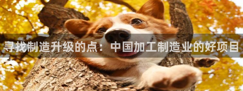 星欧娱乐平台怎么样