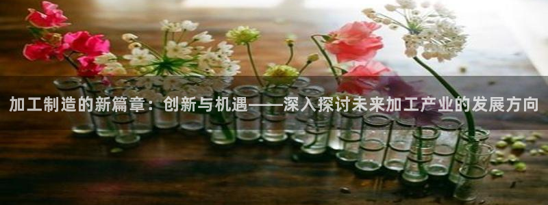 星辉娱乐进入欧联杯