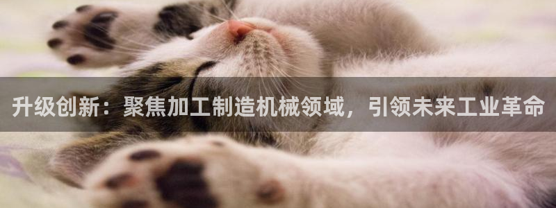星欧娱乐官方