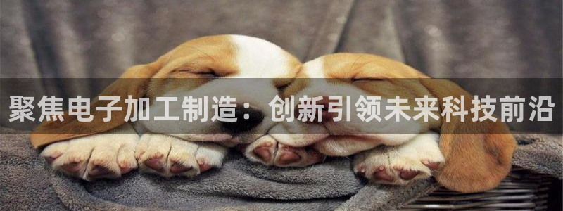 欧星娱乐主播