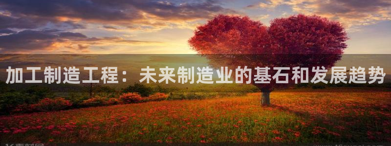星欧娱乐平台注册