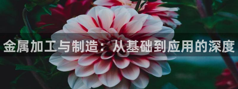 星欧娱乐平台靠谱吗