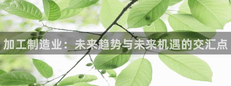 星欧娱乐app登录入口
