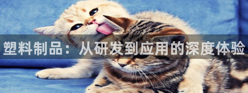 欧星娱乐棋牌