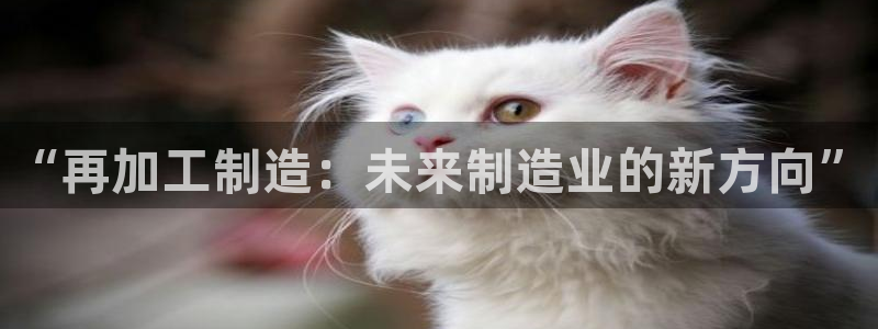 星欧娱乐还能玩吗