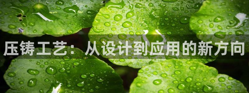 星欧娱乐代理