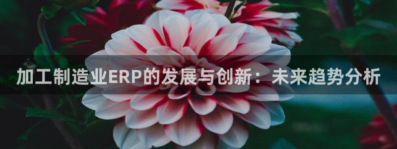 星欧娱乐平台怎么样