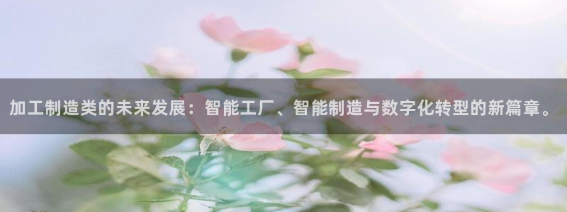 星欧娱乐经纪公司简介