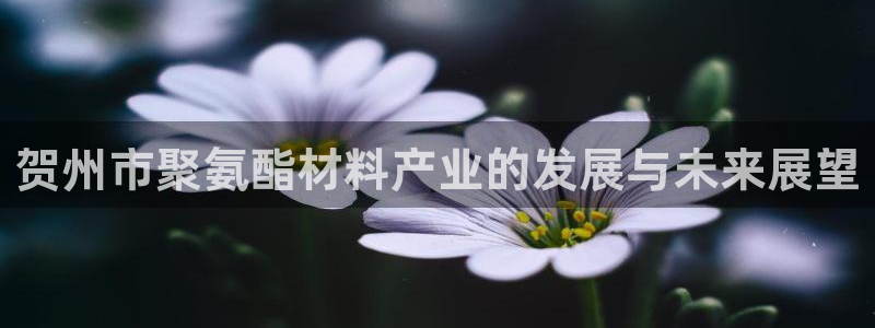 星欧娱乐主管招商中