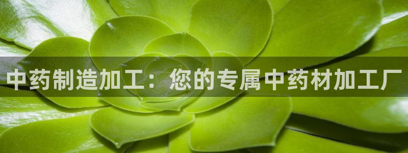 武汉欧汇星娱乐城