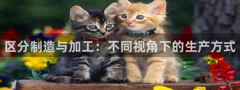 星欧平台娱乐注册的方式