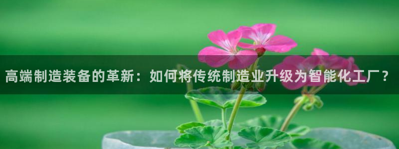 星欧娱乐的官方网站