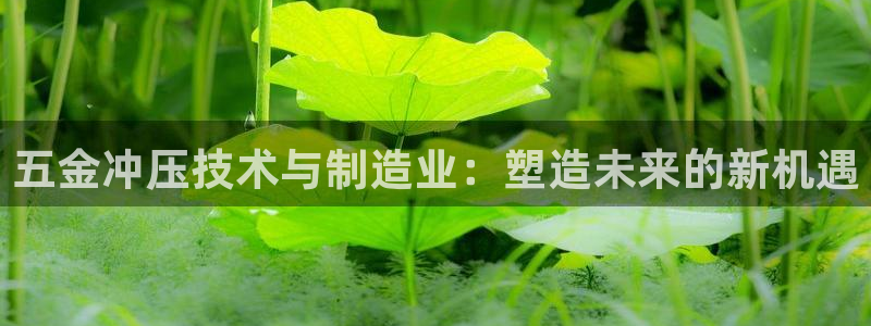 星欧娱乐官方网站客服