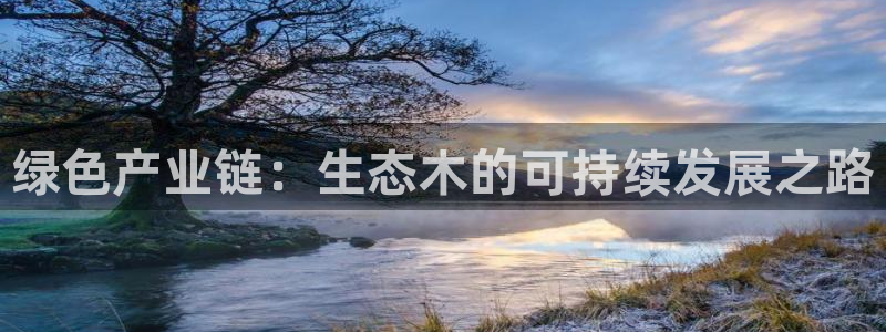 星欧娱乐是什么