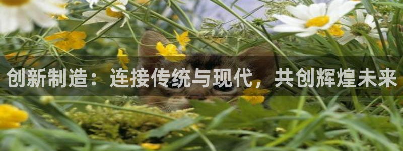星辉娱乐进入欧连杯了吗