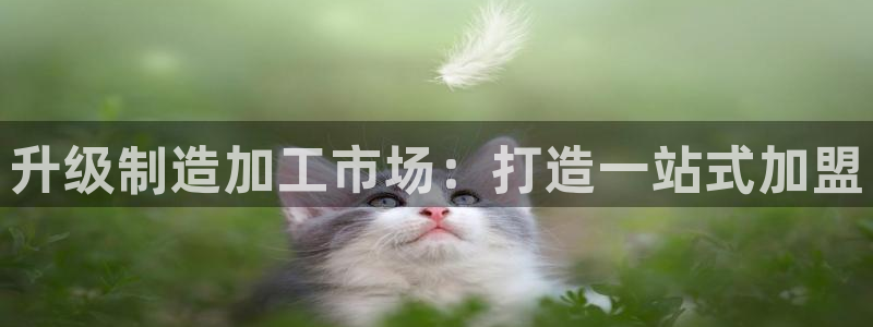 星辉娱乐进入欧联杯