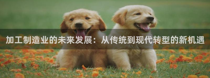 欧乐星城休闲娱乐