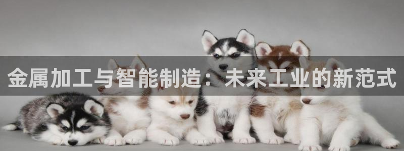 匠星娱乐欧尼老师