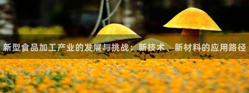 星欧娱乐最建议买吗