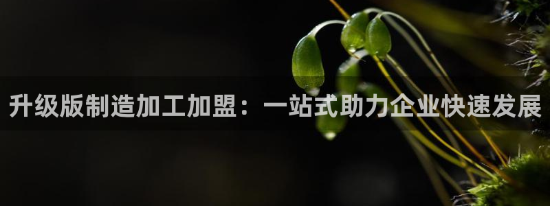 星欧娱乐扣费处理方法