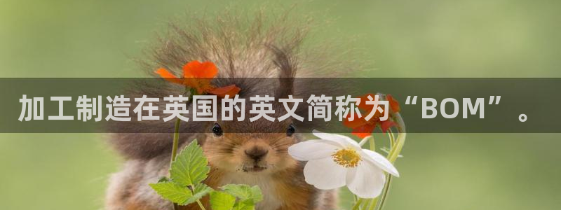 星欧娱乐的创始人背景