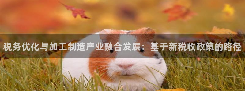 娱乐星扒客欧豪