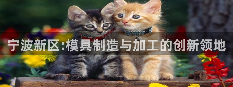 星欧娱乐注册40046