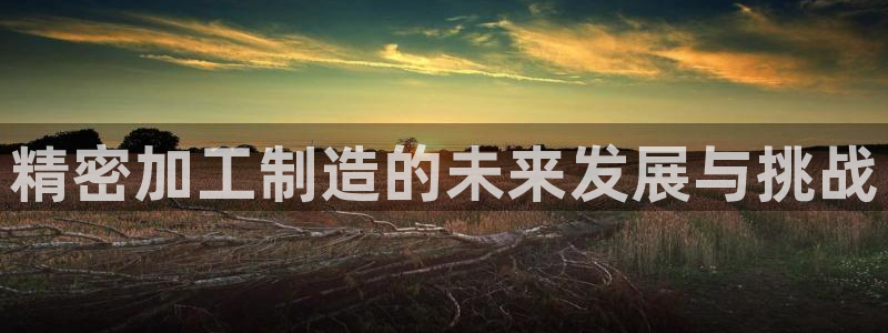 星欧娱乐官方网站